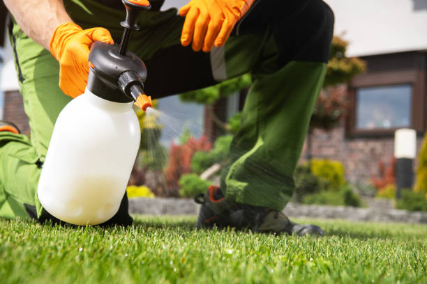 Best Mosquito Control Services  in Kensington, CA