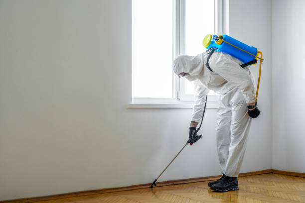 Kensington, CA Pest Control Company
