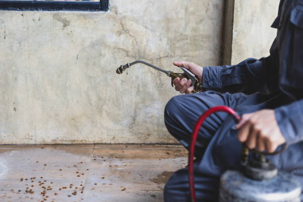 Best Pest Removal Services  in Kensington, CA